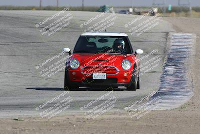 media/Oct-21-2023-Speed Ventures (Sat) [[ddf75163c5]]/Yellow/Grapevine/